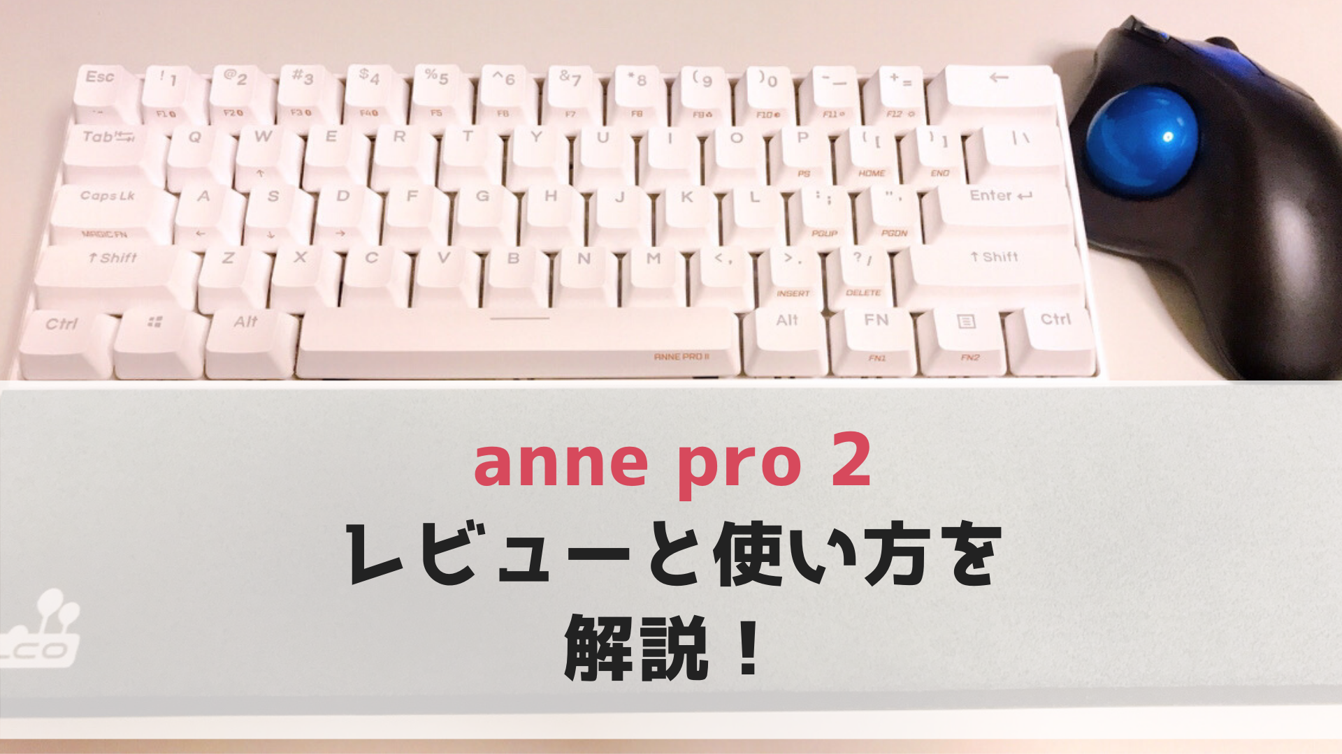 Anne Pro 2 のキーボード購入レビュー 解明した使い方も解説 M Size